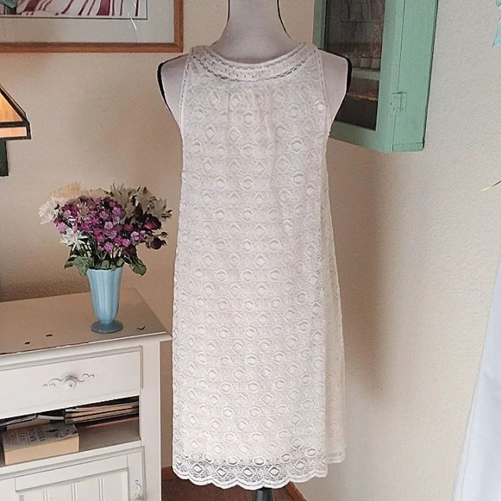 NWT Max Studio Lace Shift Dress - Picture 7 of 13